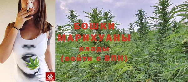 крисы Балабаново