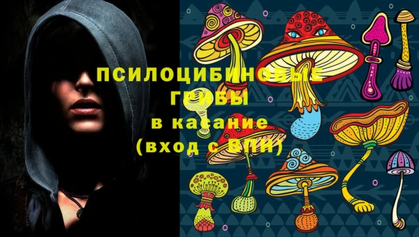 крисы Балабаново