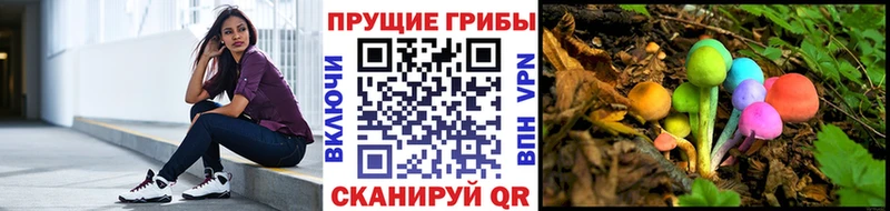 гидра зеркало  Черногорск  Галлюциногенные грибы Magic Shrooms 